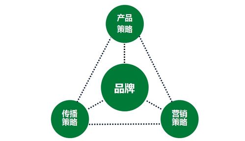 一家傳統企業的互聯網轉型之路丨國人在線 軟件服務